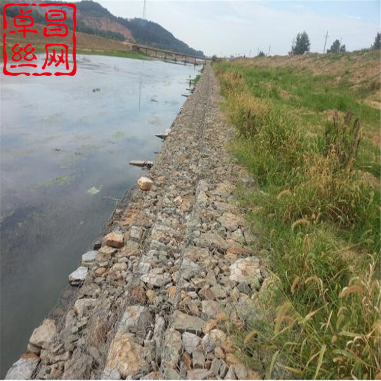 1698457706403061490.jpg 1269_副本.jpg