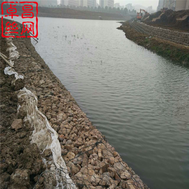 1698718297535088270.jpg 1603.jpg