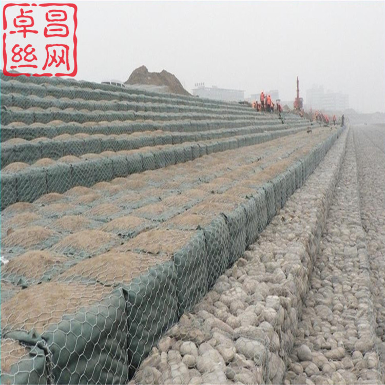 1699064548644069071.jpg 225.jpg