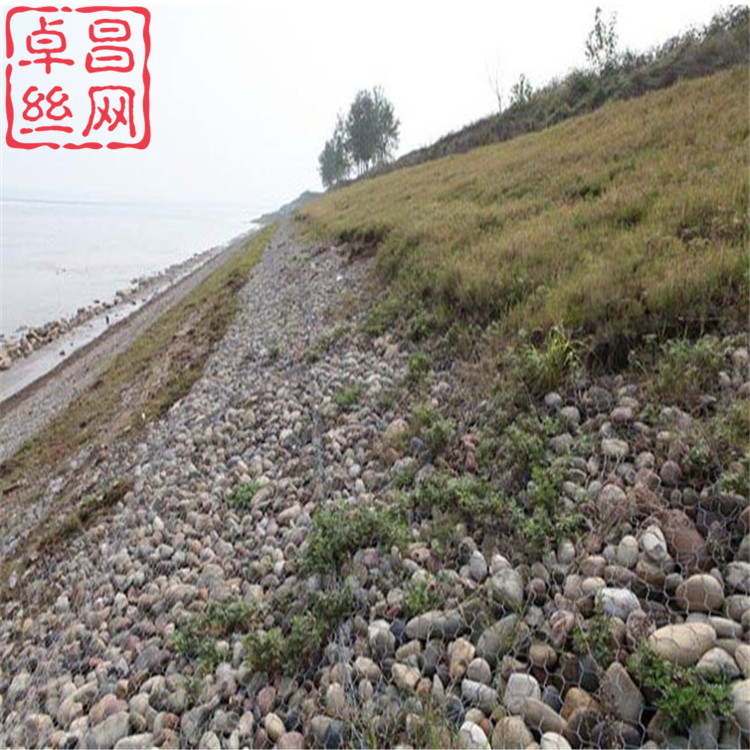 1700100579598044005.jpg 608.jpg